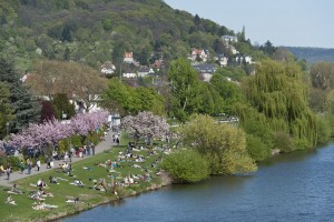 Neckarwiese Credit Philipp Rothe