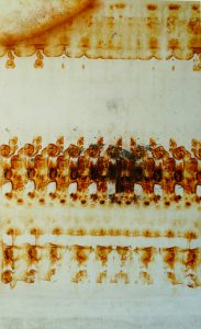 peinture-andrea